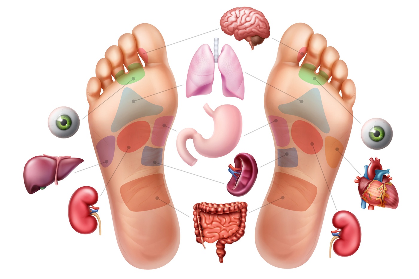 Fußreflexzonen Abbildung Grafik Zeichnung